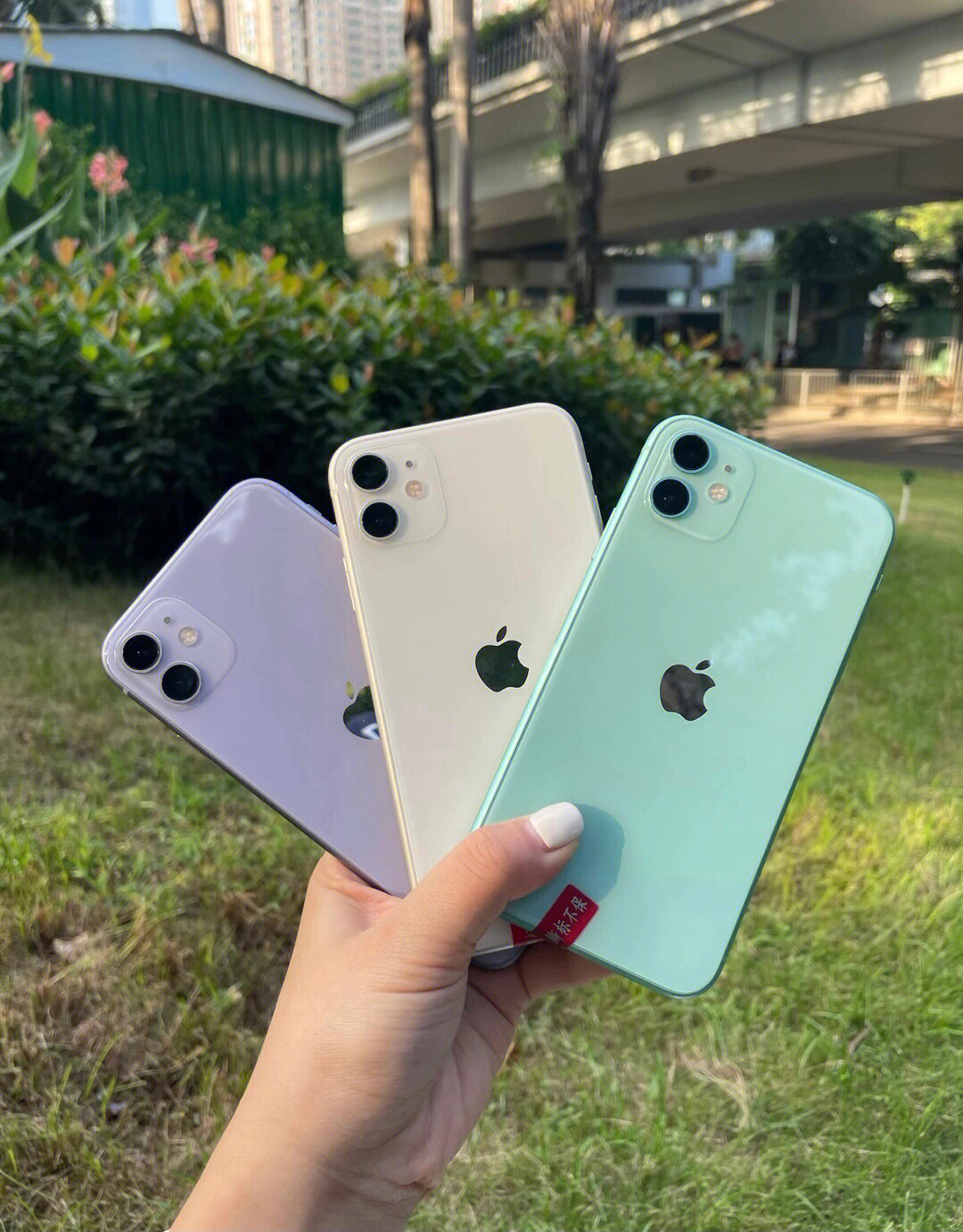 iphone11绿色白色紫色都是yyds07