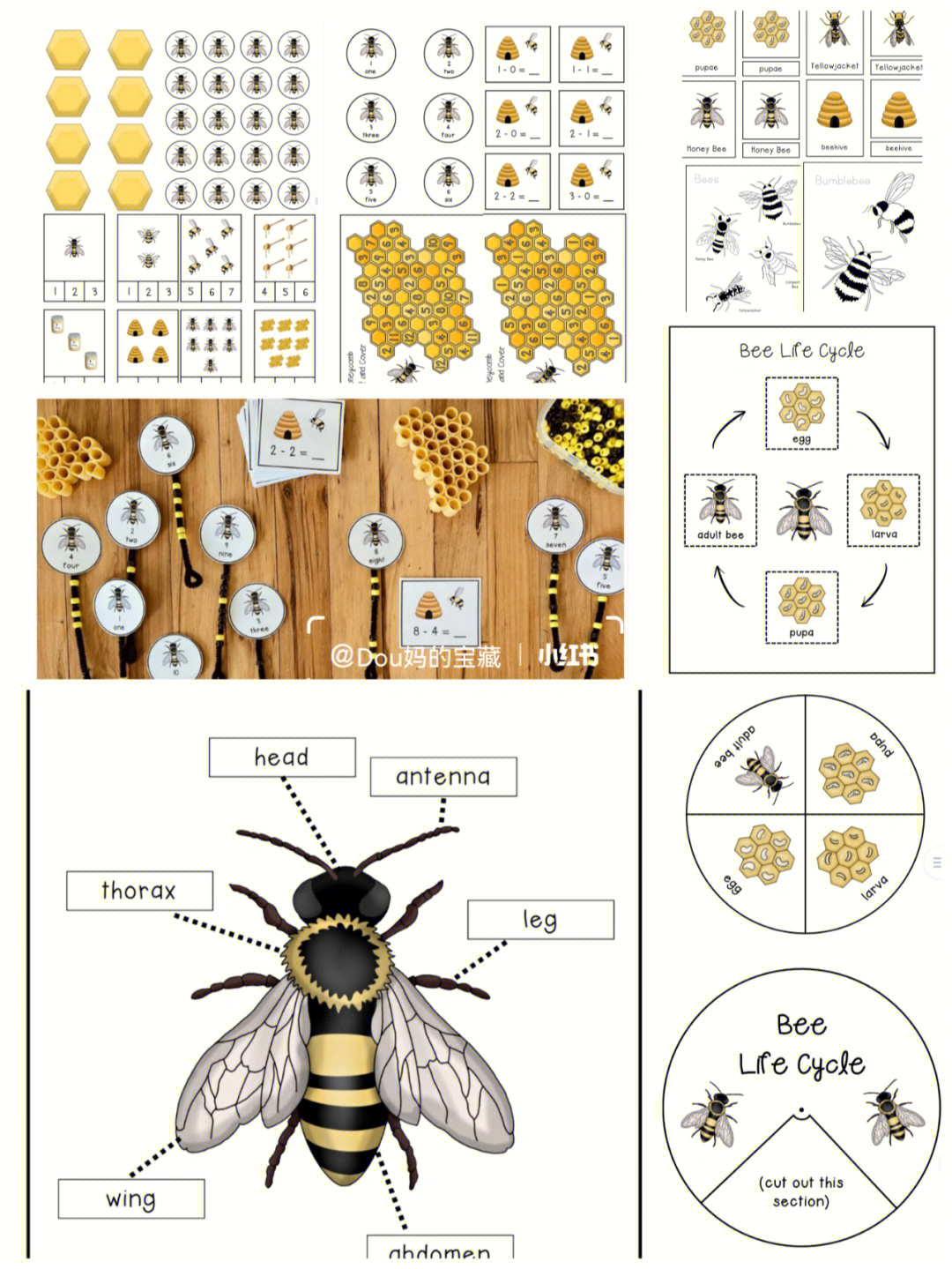 早教素材敲全敲精美蜜蜂主题陪玩