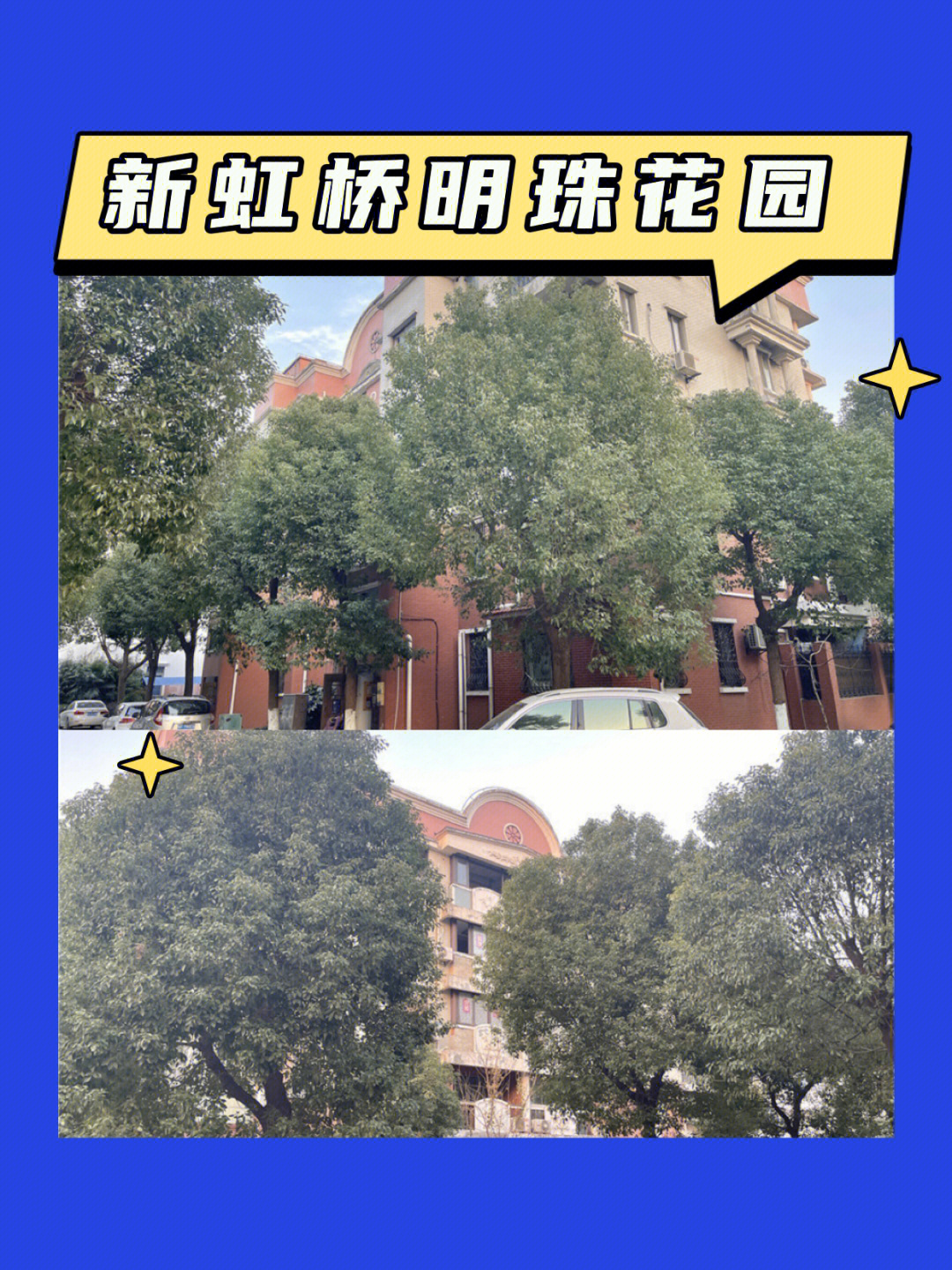 上海大虹桥国际公馆图片