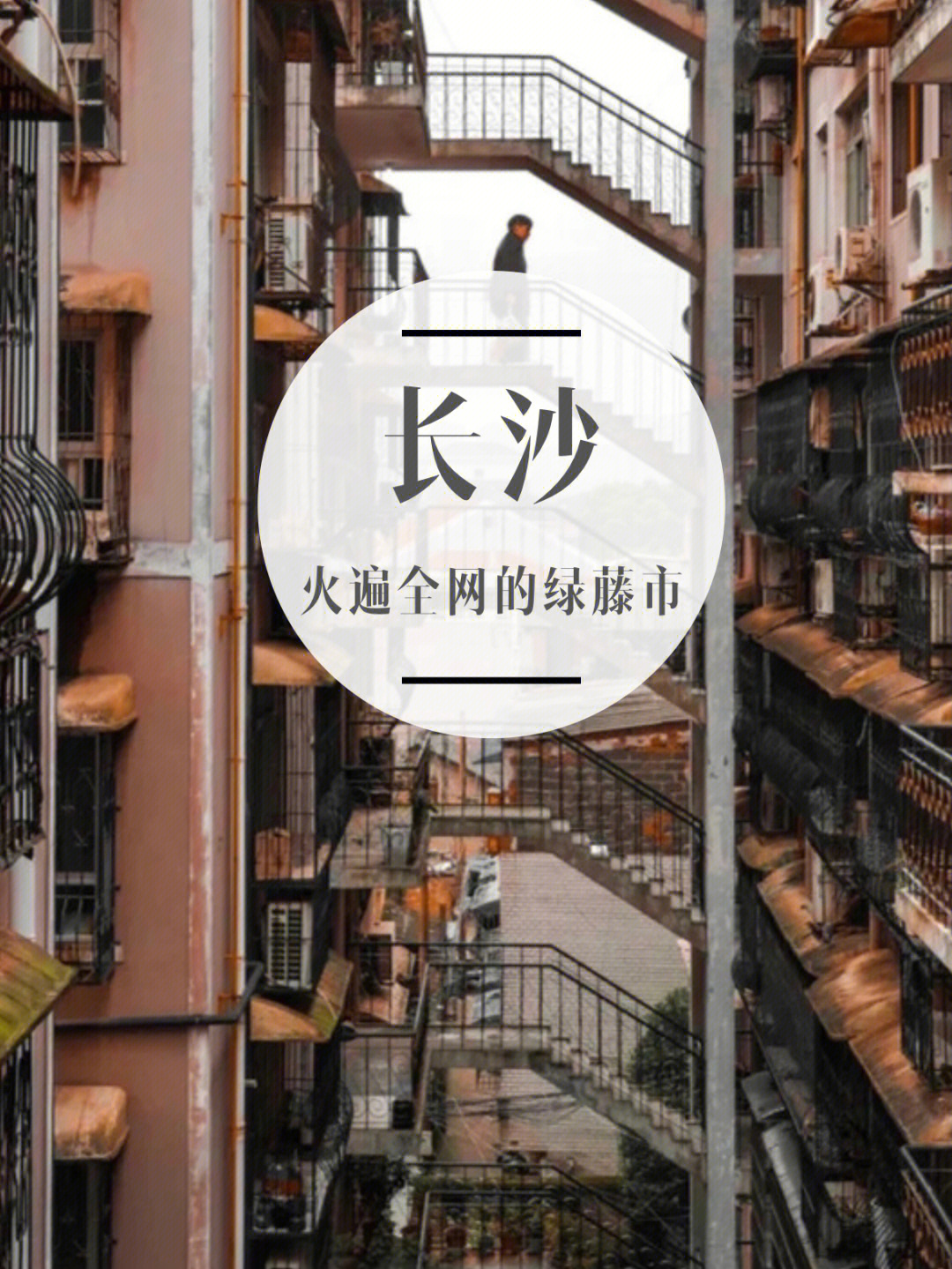 绿藤师范大学原型图片