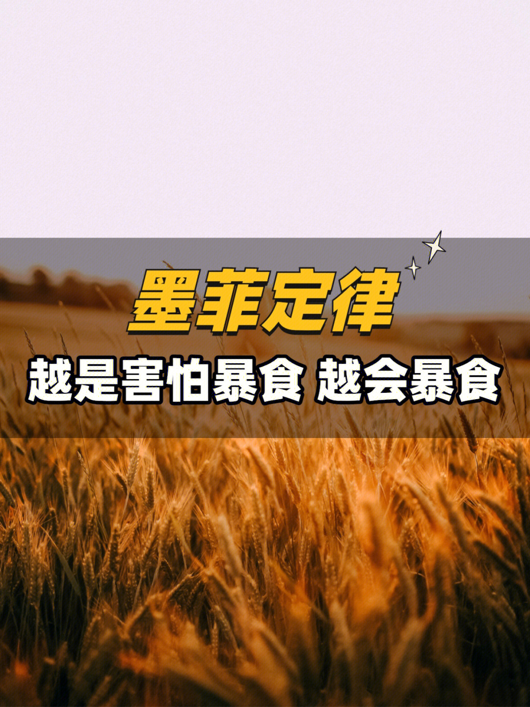 墨菲定律指:如果有两种或两种以上的方式去做某件事情,而其中一种选择