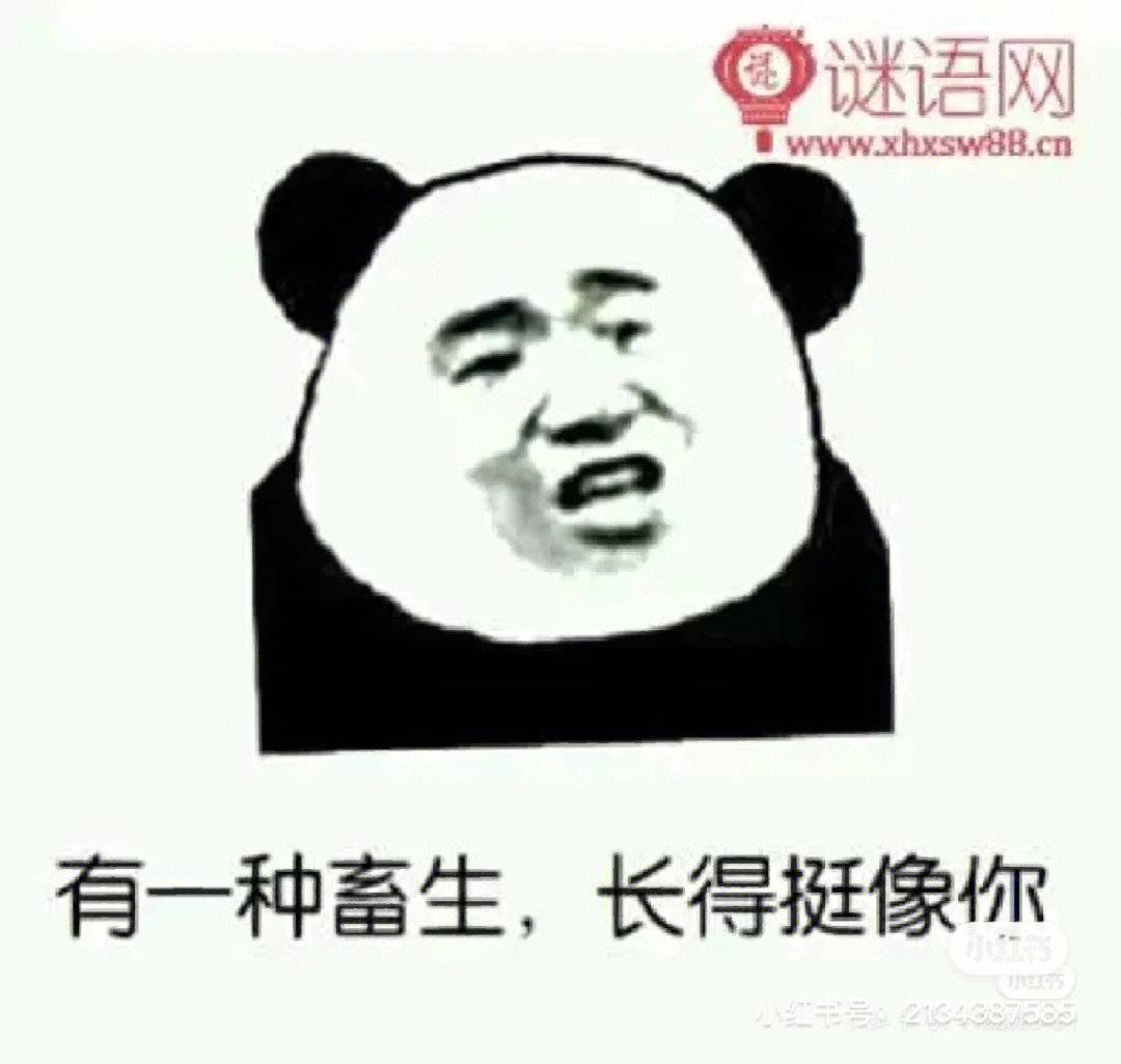 深色模式骂人图图片