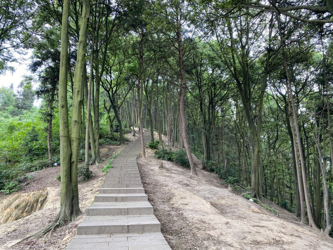 临峰山郊野公园图片