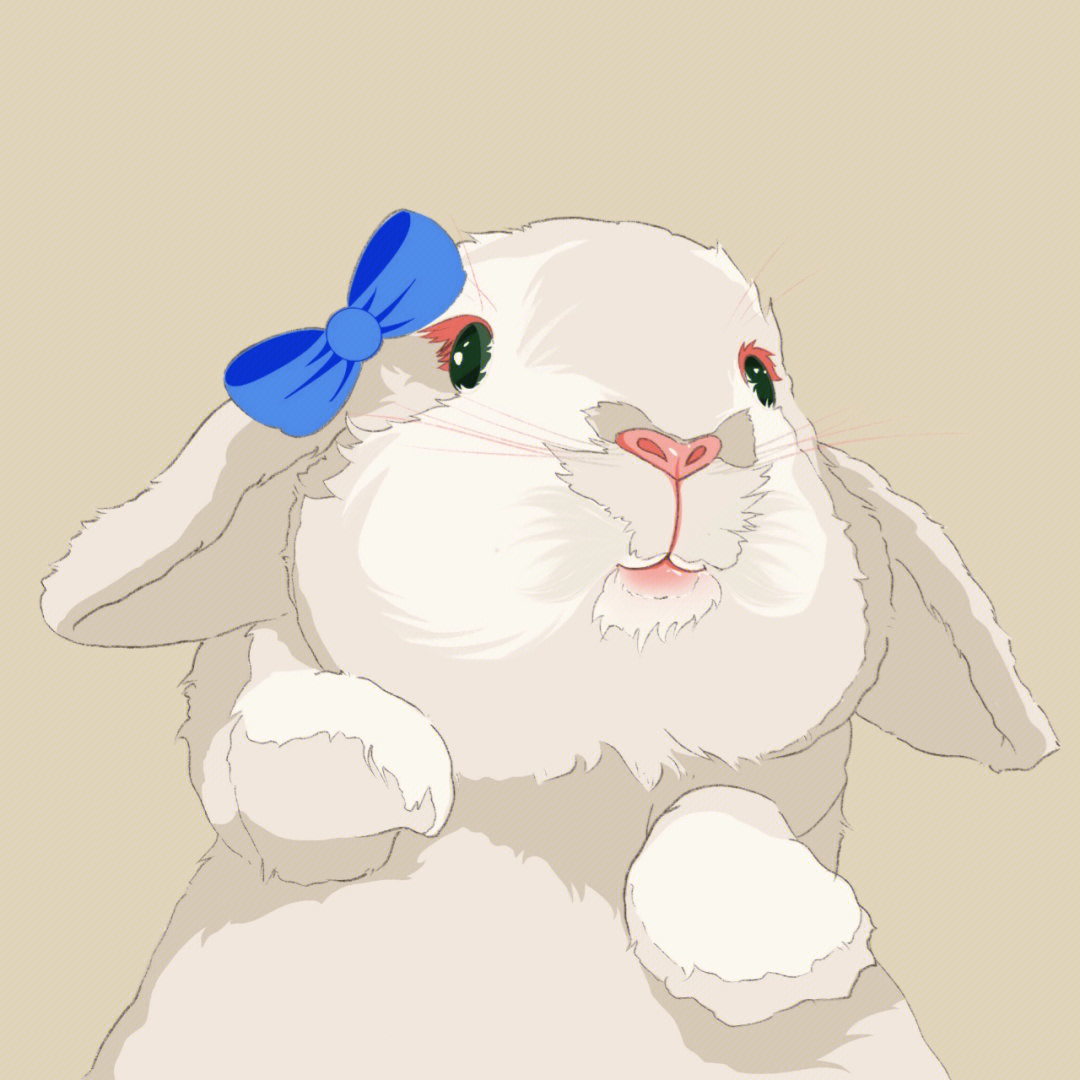 动漫小白兔头像图片