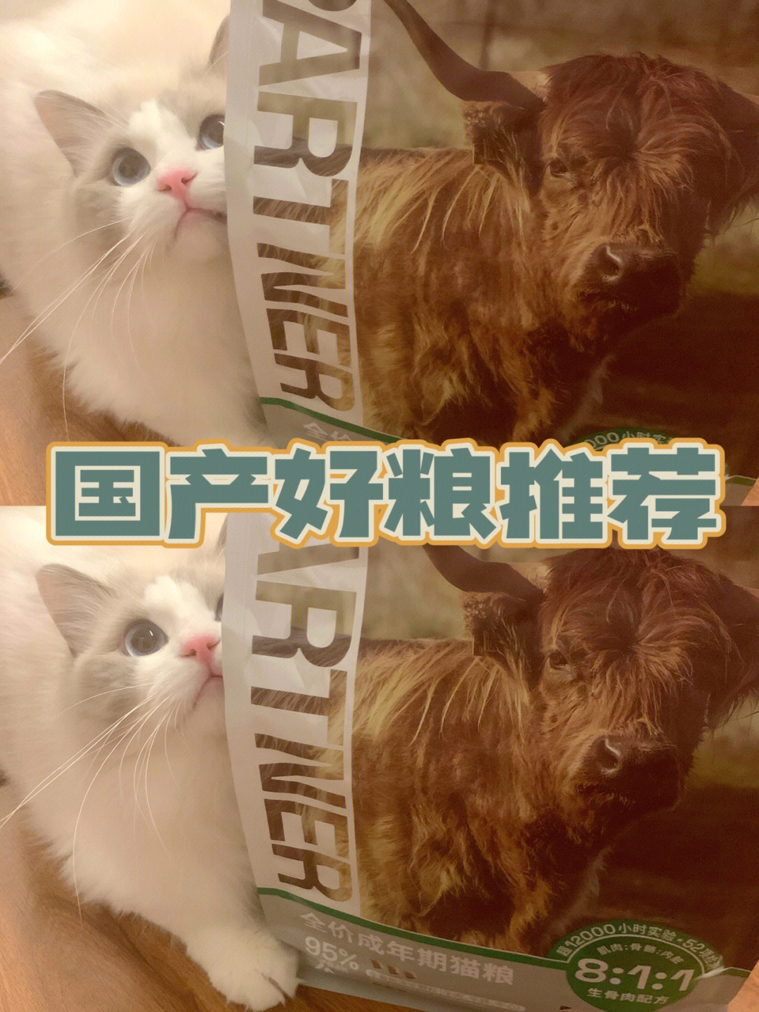 谁说国产猫粮就一定输进口猫粮这我不服