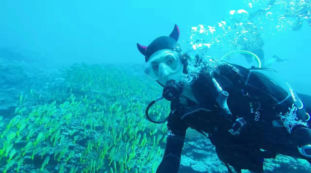 留尼汪的海底探险之旅