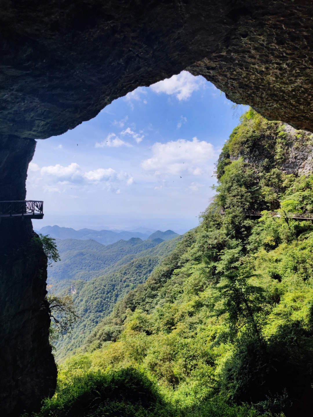 金佛山春夏秋冬的景色图片