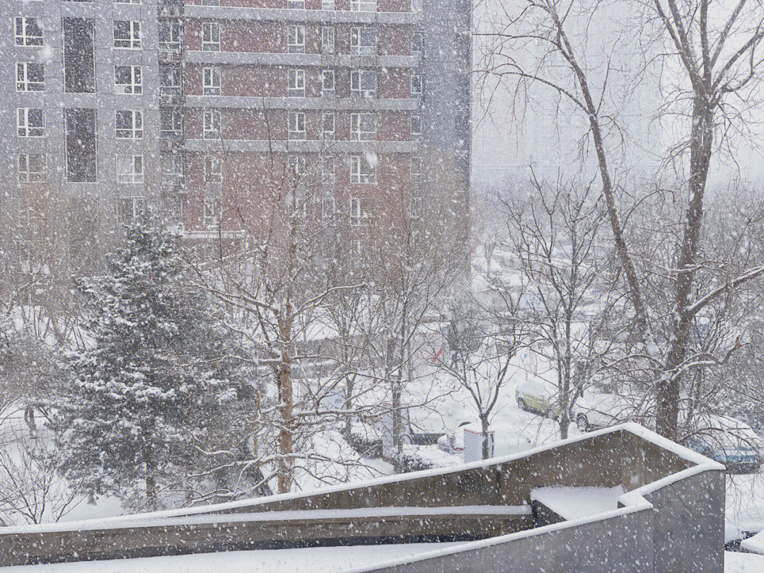 北京下的雪那可不是保丽龙