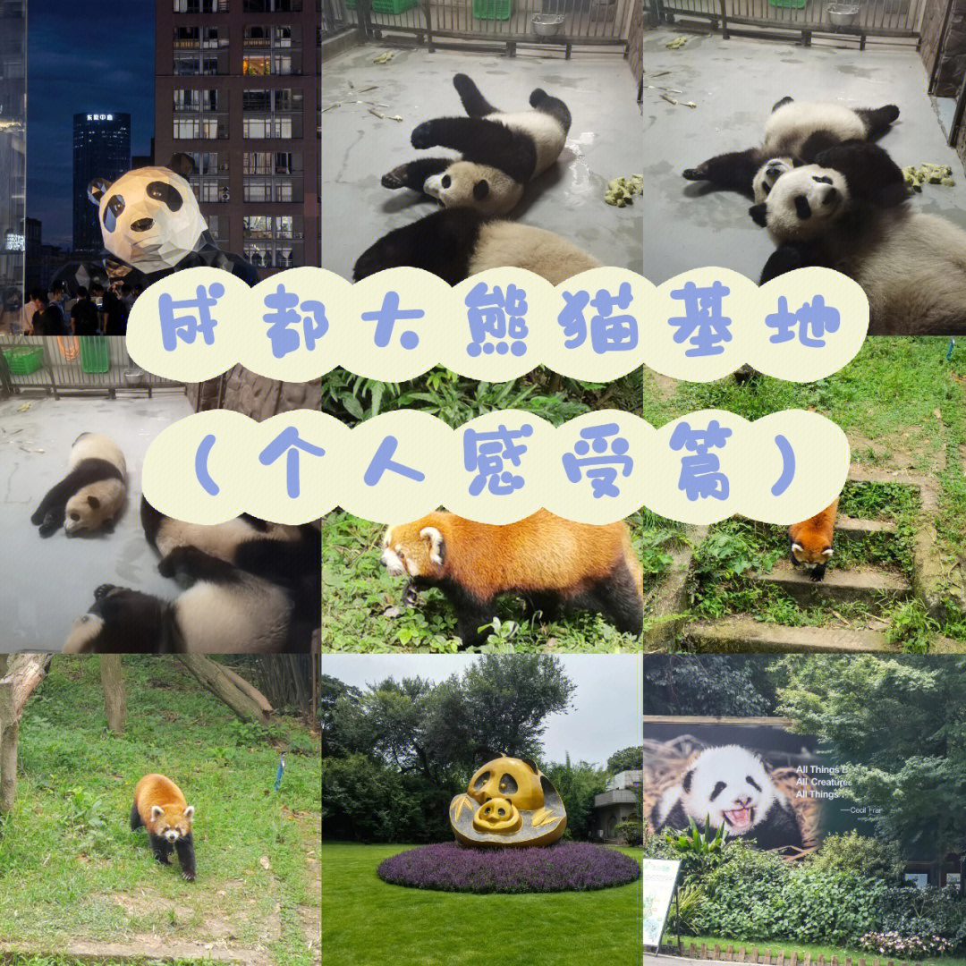 _成都熊猫繁育基地简介_成都熊猫繁育基地logo意义
