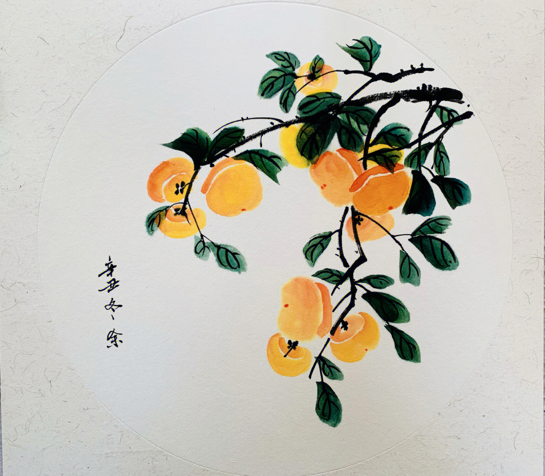 国画柿子树干的画法图片