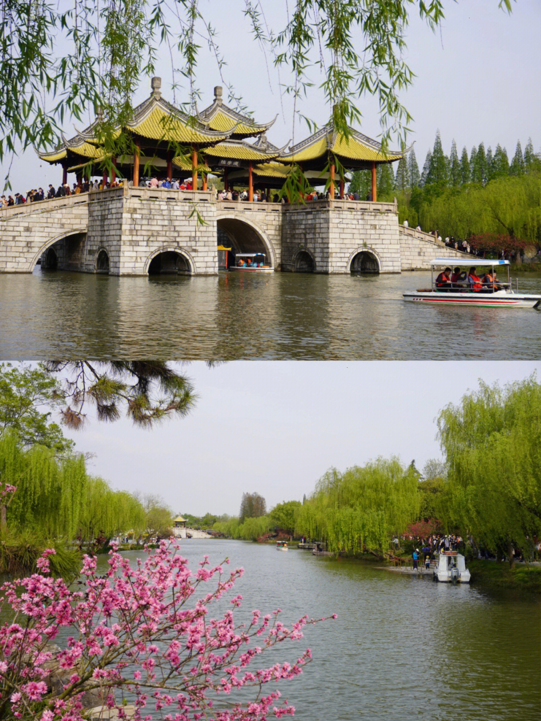 扬州瘦西湖春日旅行