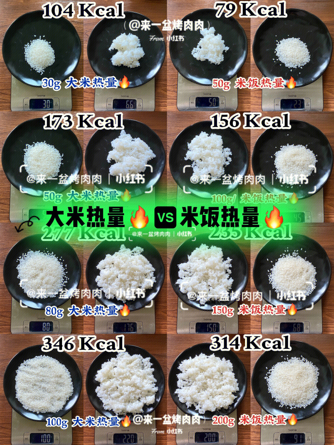 几次饭实验实验了一下08薄荷那个大米热量97和米饭热量97的比例