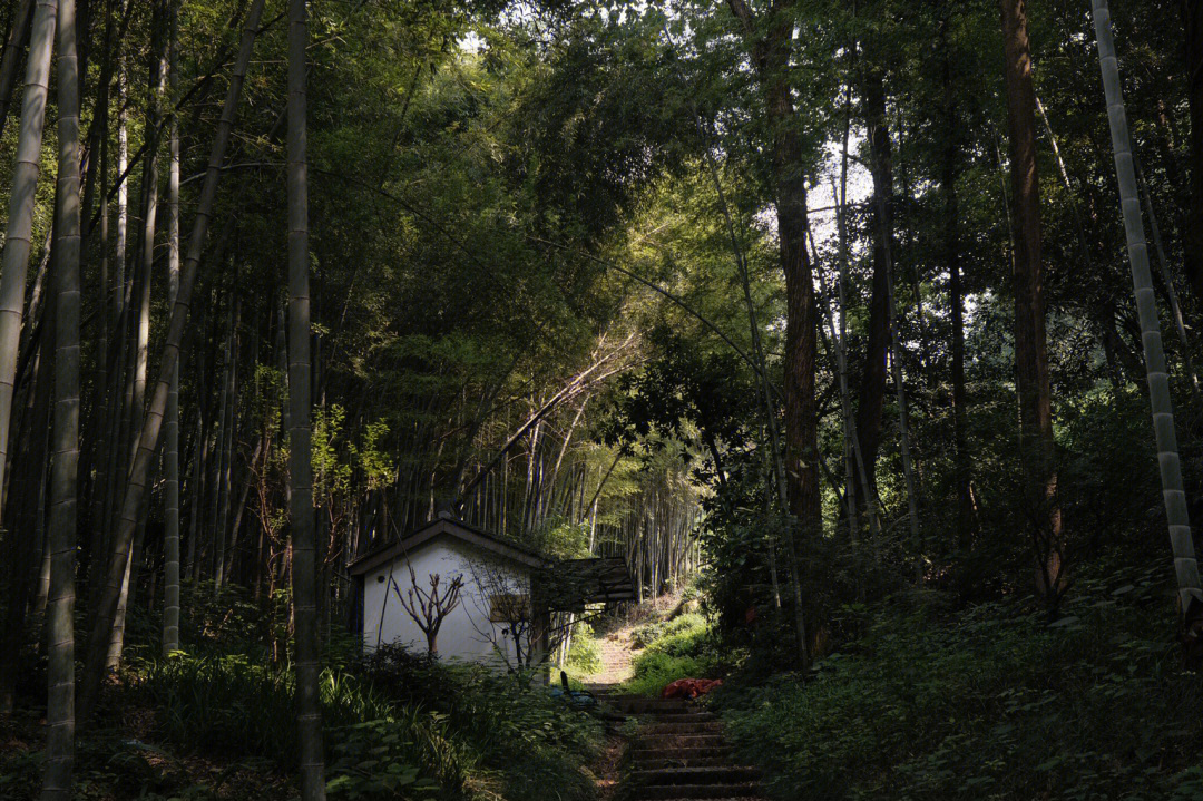 归隐山林隐居图片