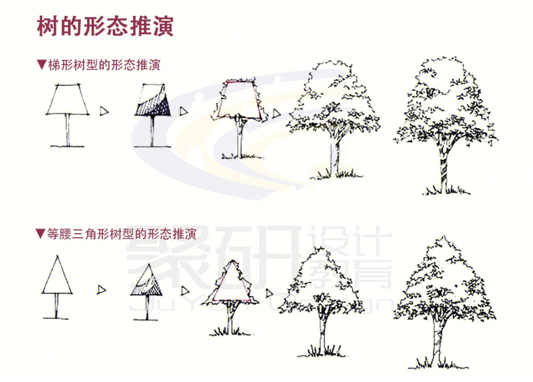 园林树木造型示意图图片