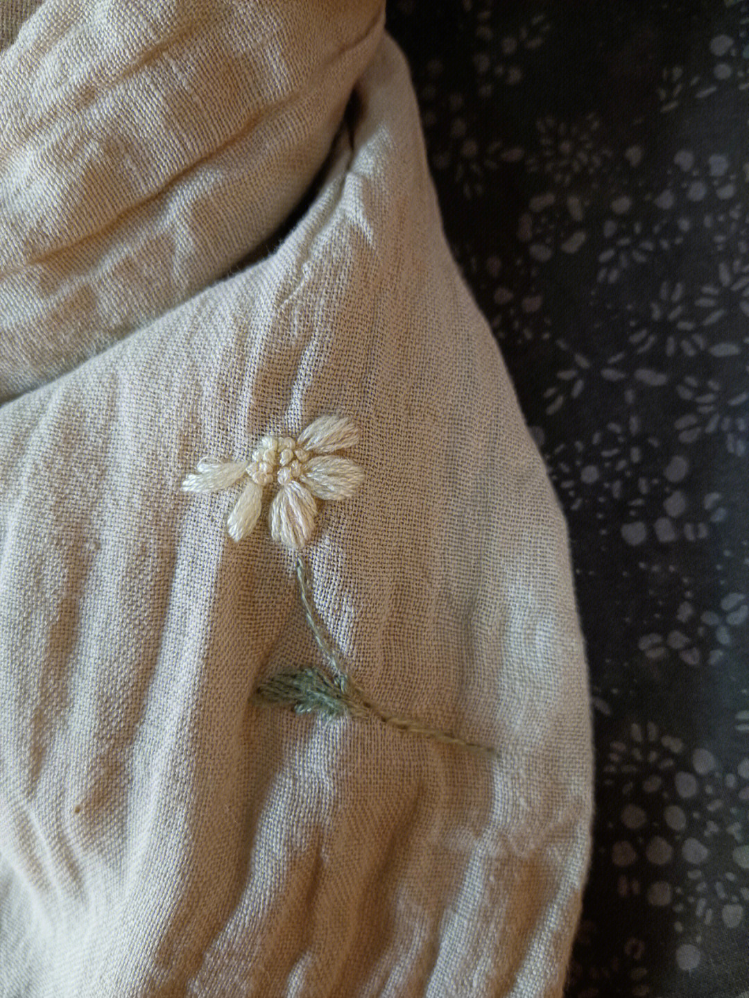 一朵小白花圣女小德兰图片