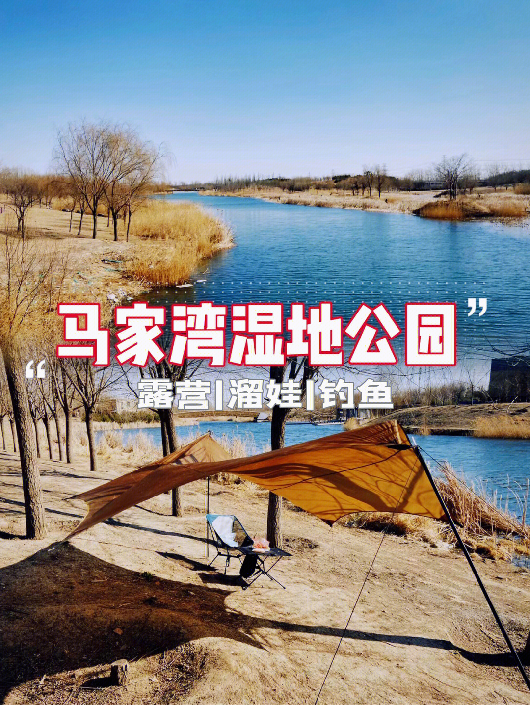 马家湾湿地公园门票图片