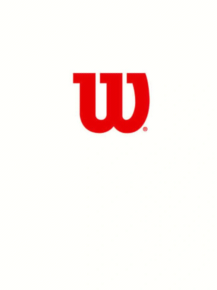 wilson(威尔逊)1914年wilson(中文译称维尔胜,威尔胜)是美国品牌.