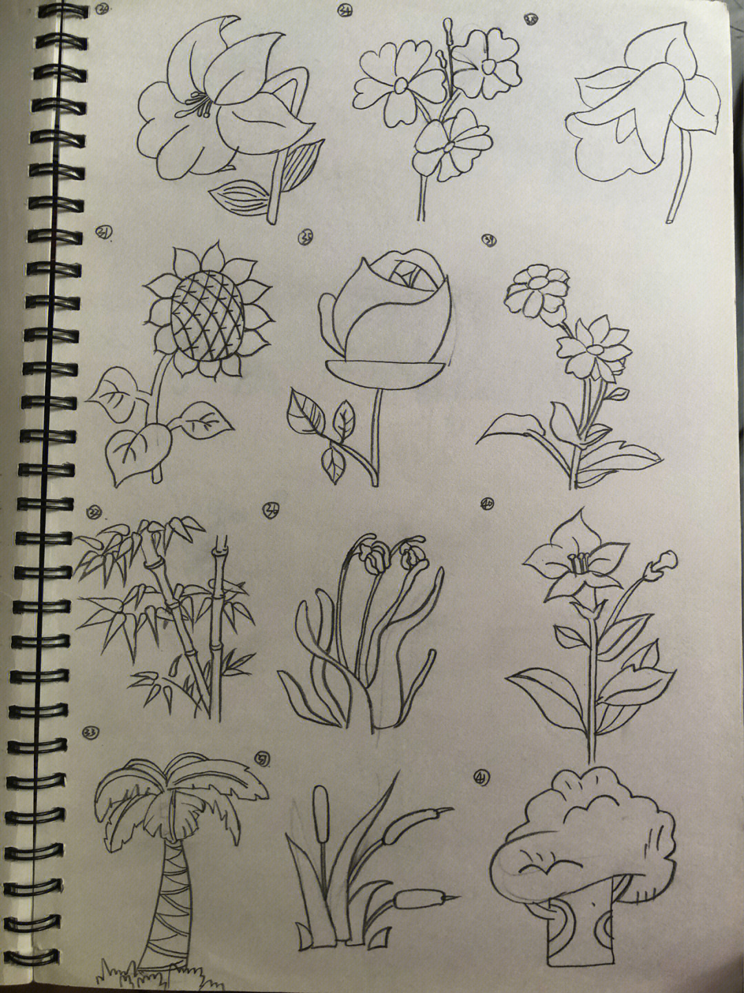 小学生美术作业植物画图片