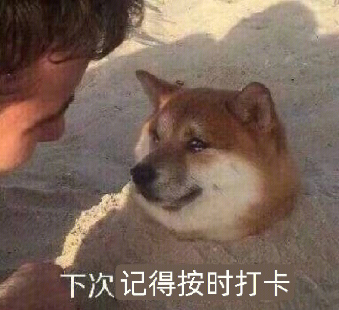 怎么幽默的催打卡图片