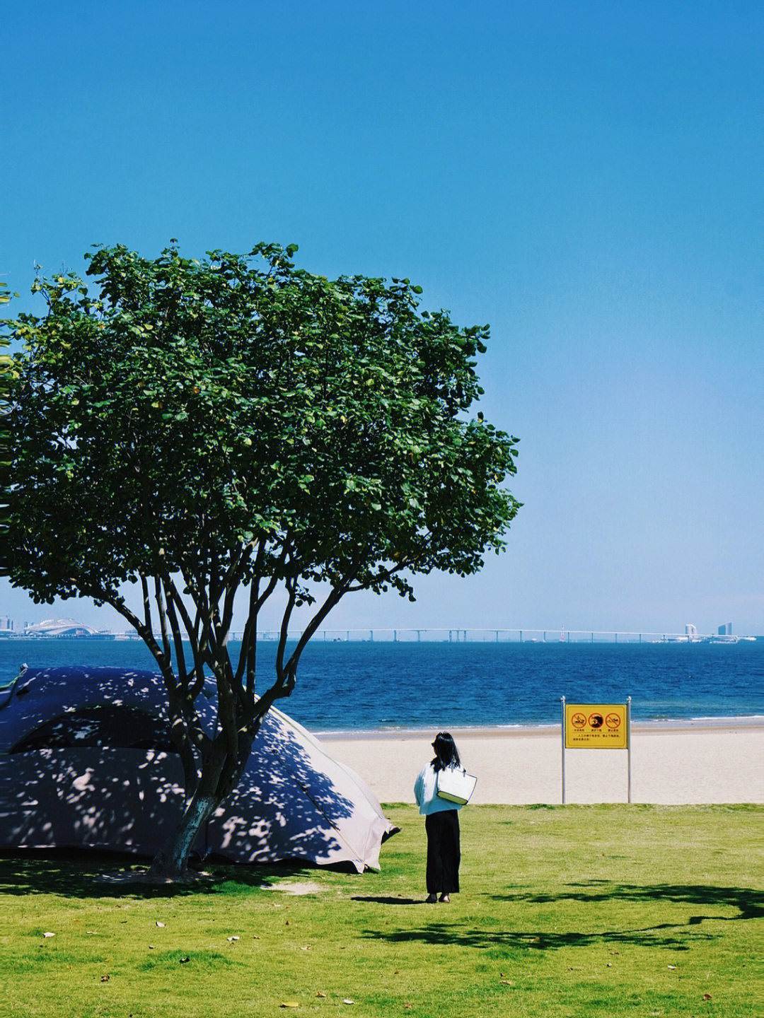 后田海滩图片