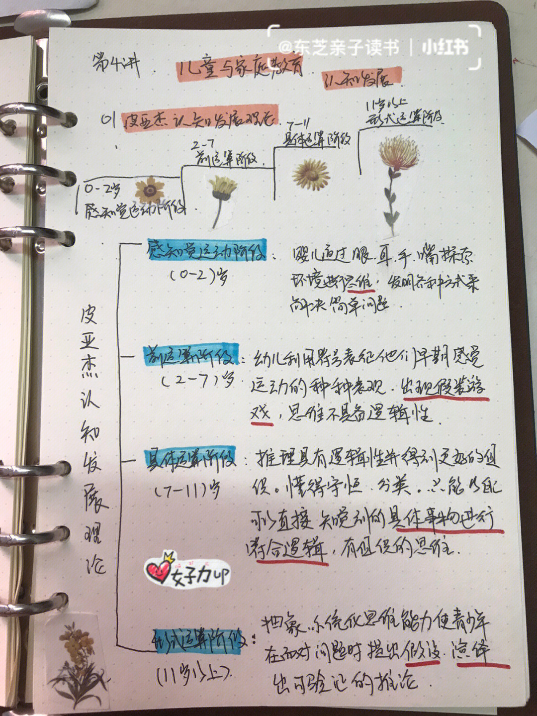 维果茨基脚手架理论图片