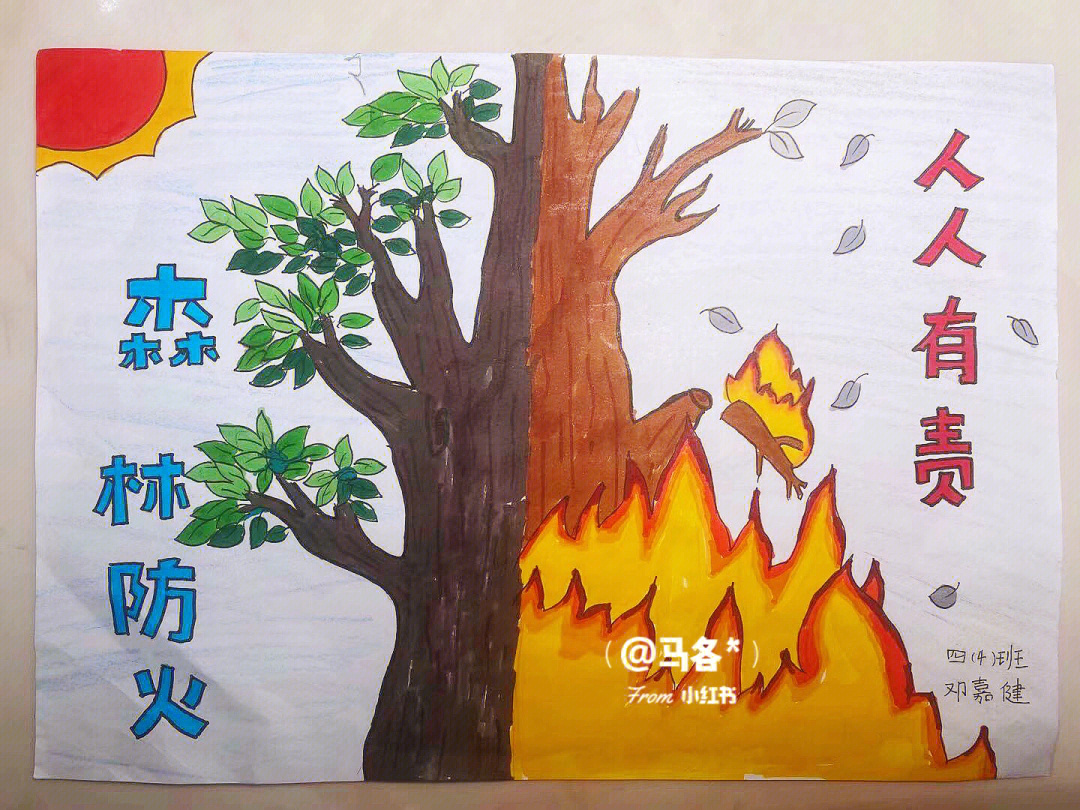森林防火主题画一年级图片