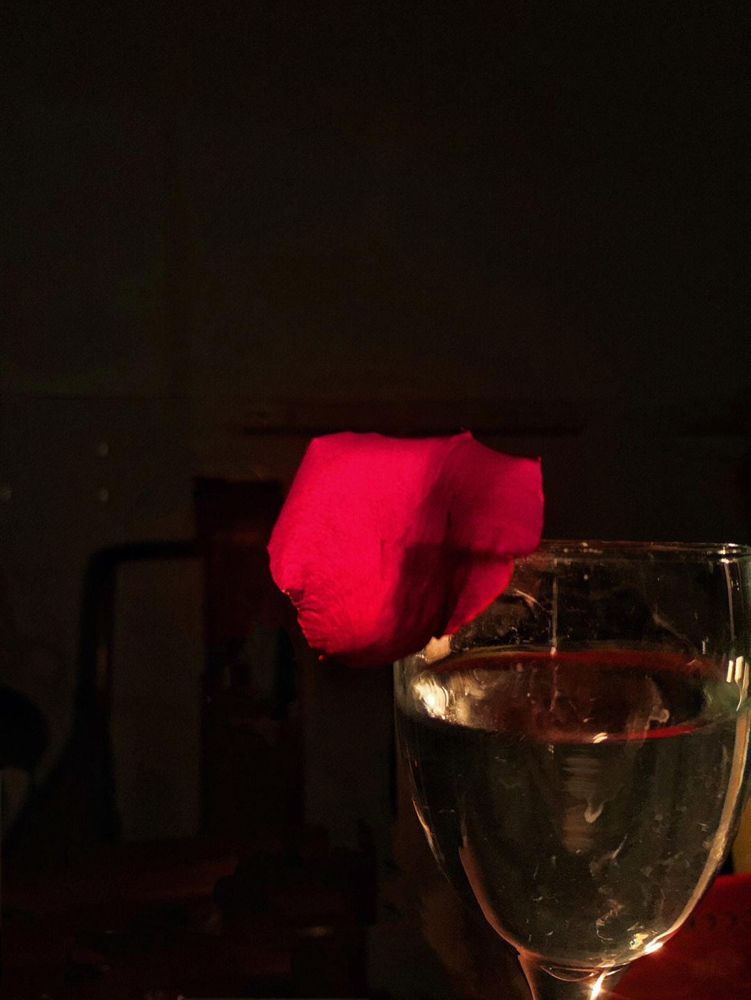 热酒吻玫瑰图片