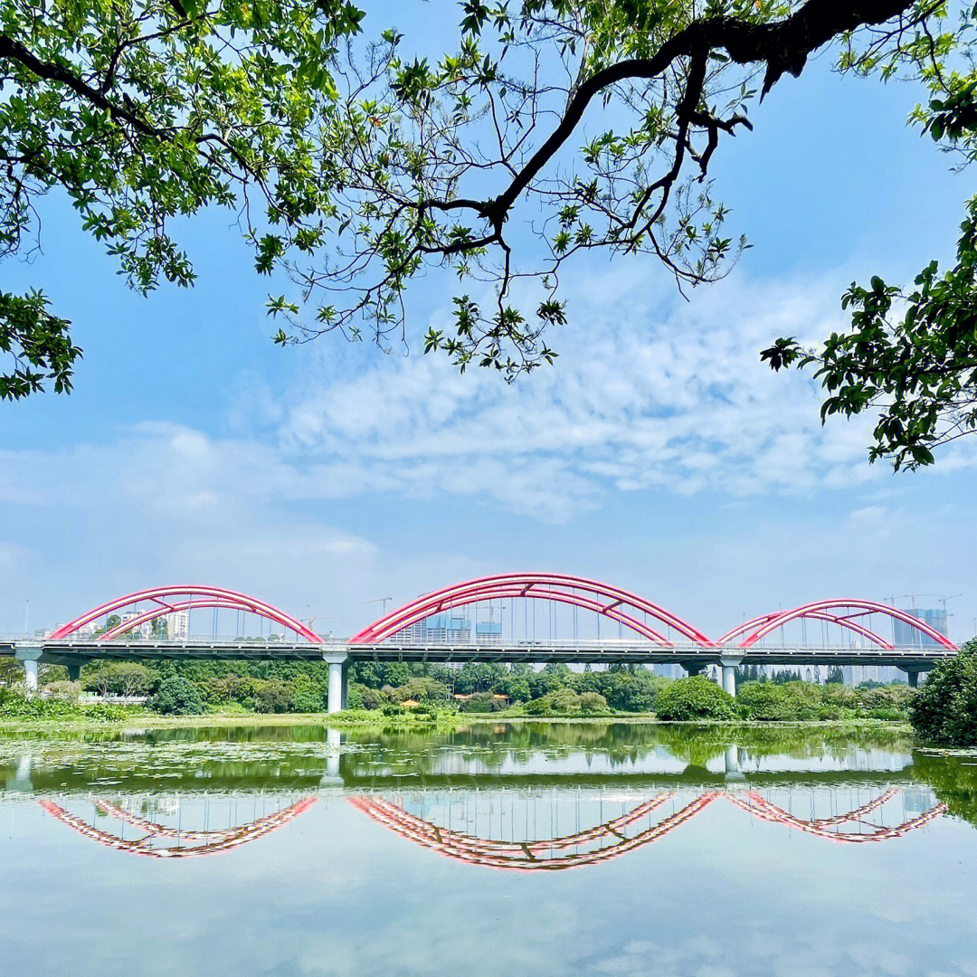 深圳的彩虹桥你有觉得这么好看过吗