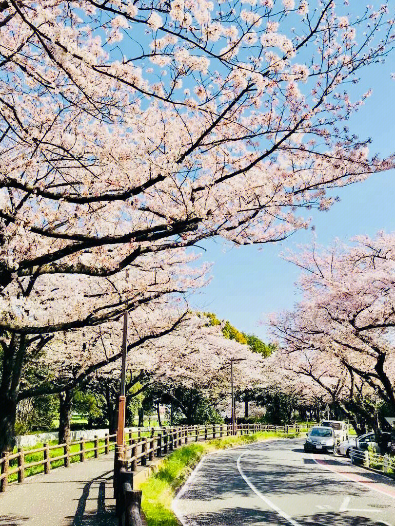 春日散步水元公园mizumotopark