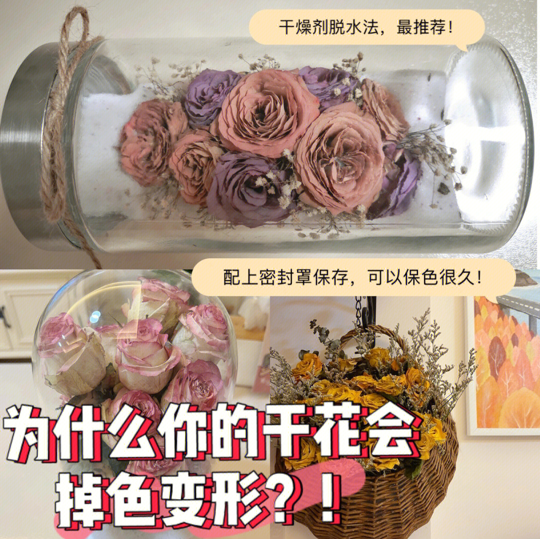 怎样制作干花图片