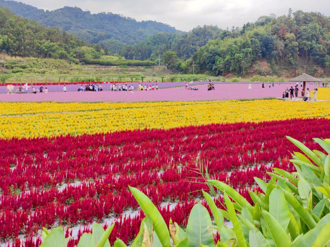 三明周边游岩前岩下花海