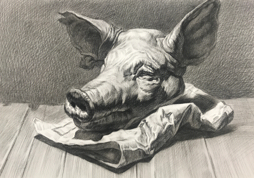 猪头素描画图片