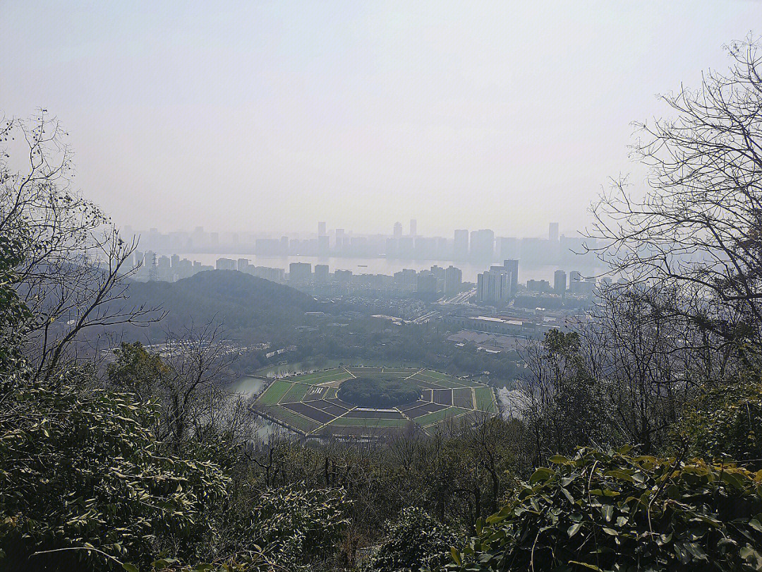 终于再次感受到了春天的嫩绿和生机 爬玉皇山 经过八卦田 温润而肥沃