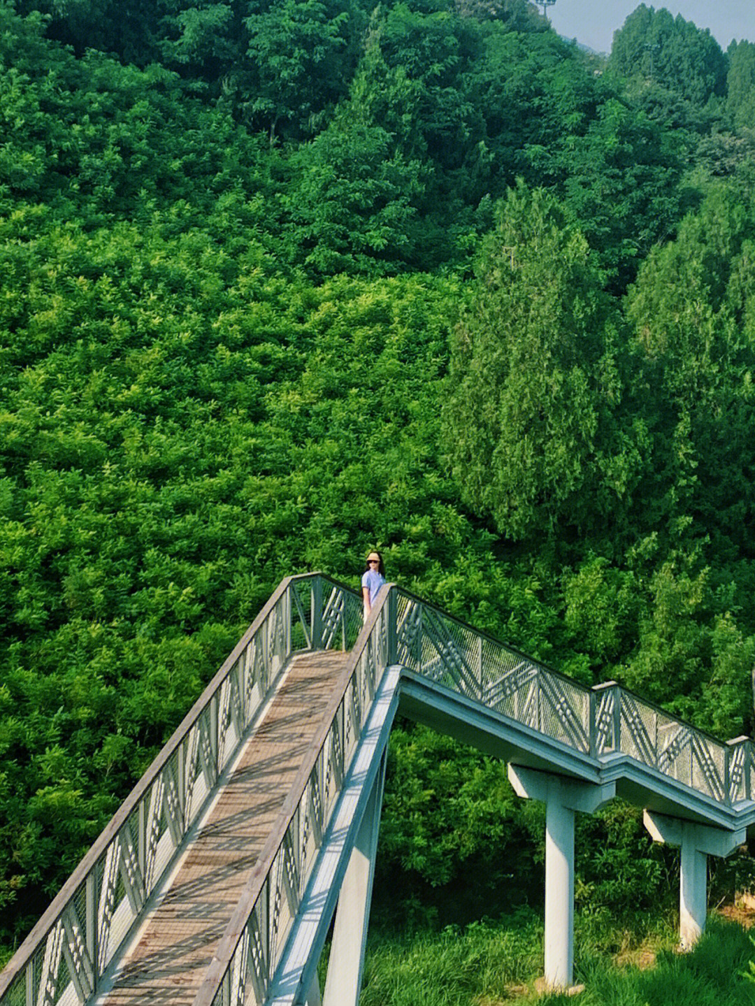 雁栖湖木栈道在哪图片