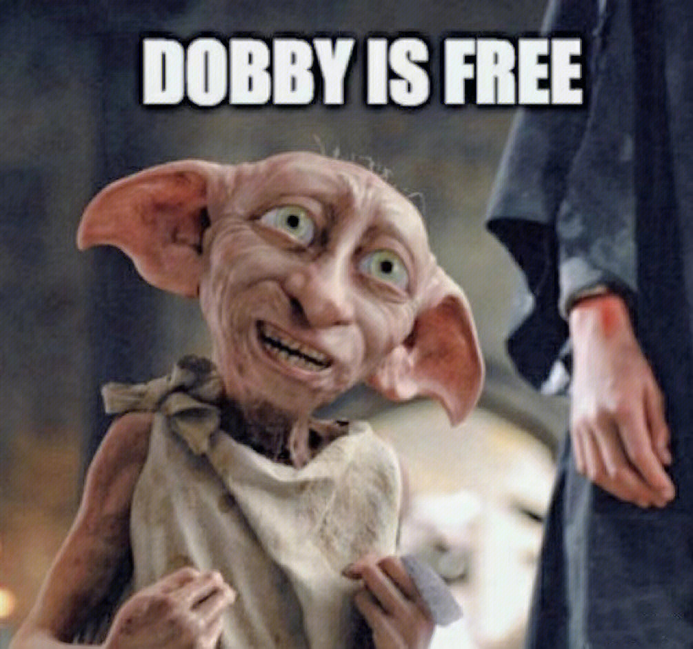 dobbyisfree截图图片