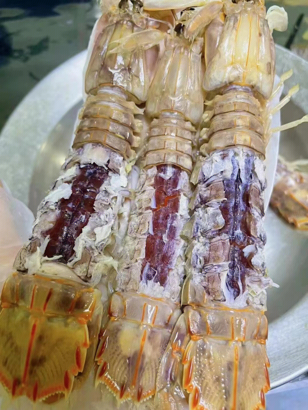 皮皮虾的结构图片
