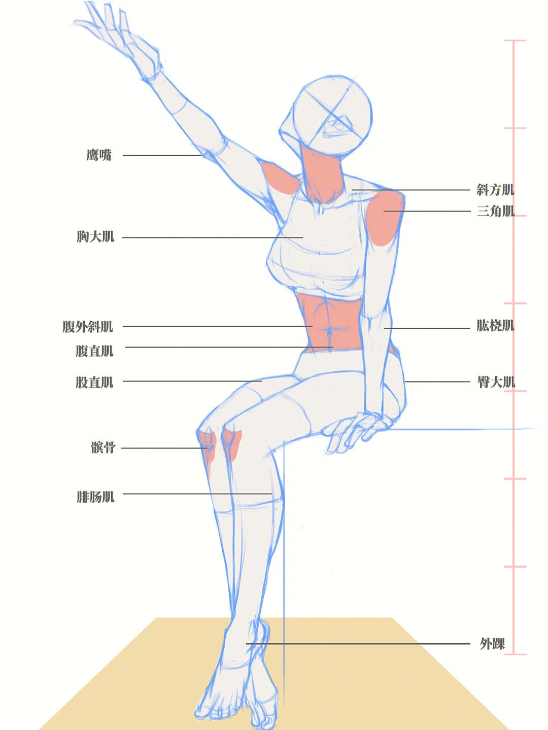 人体动态练习430坐姿2什么是有效练习