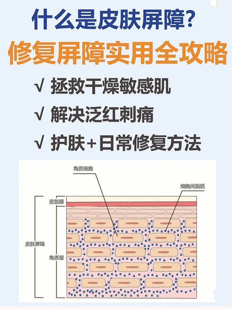 敏感肌宝宝们必看diou皮肤屏障修复方法