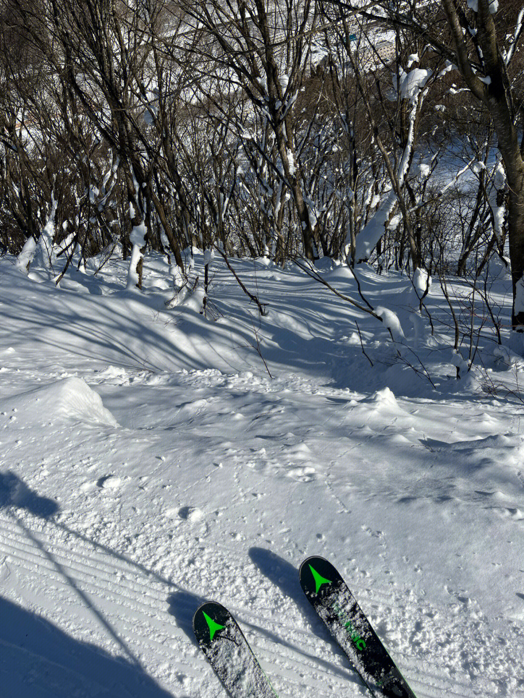 在雪地里发现很多小动物的脚印