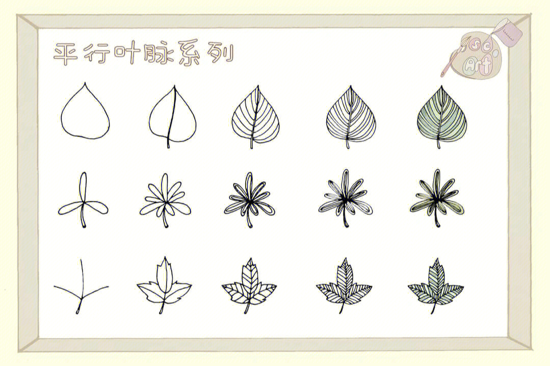三十种叶子简笔画图片