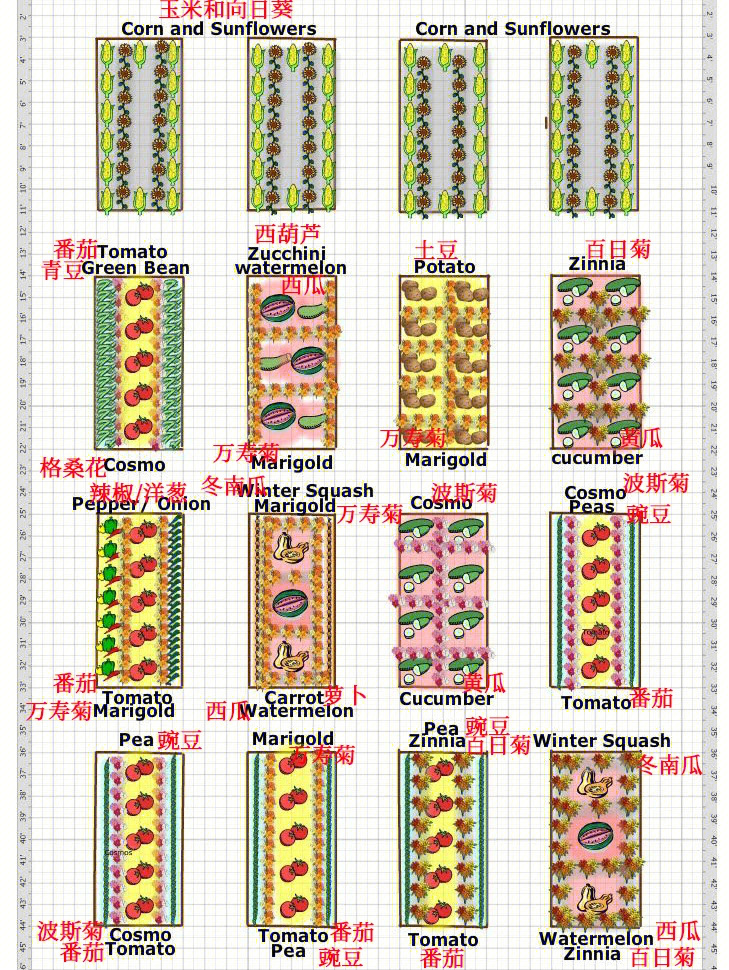 休闲菜园规划图图片