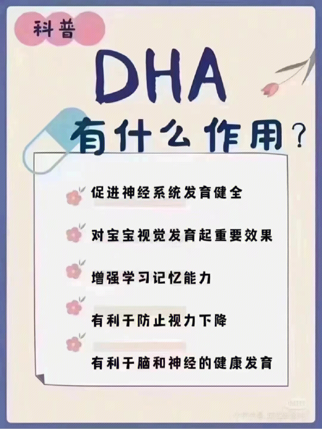 dha有什么作用