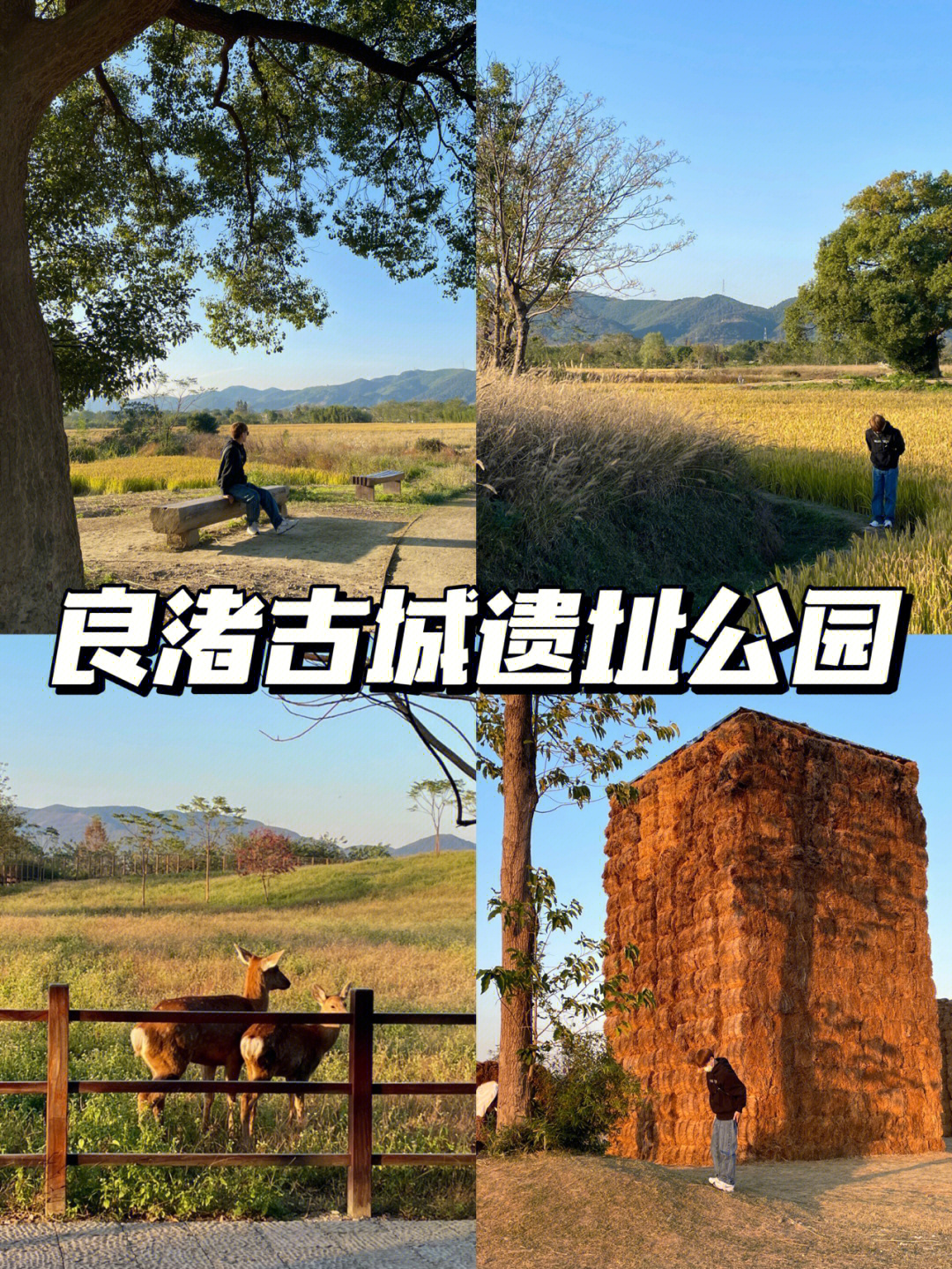 良渚古城遗址公园简介图片