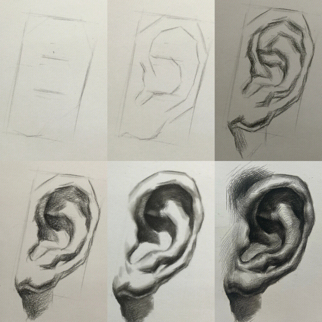 今天老师示范的素描五官耳朵作画步骤