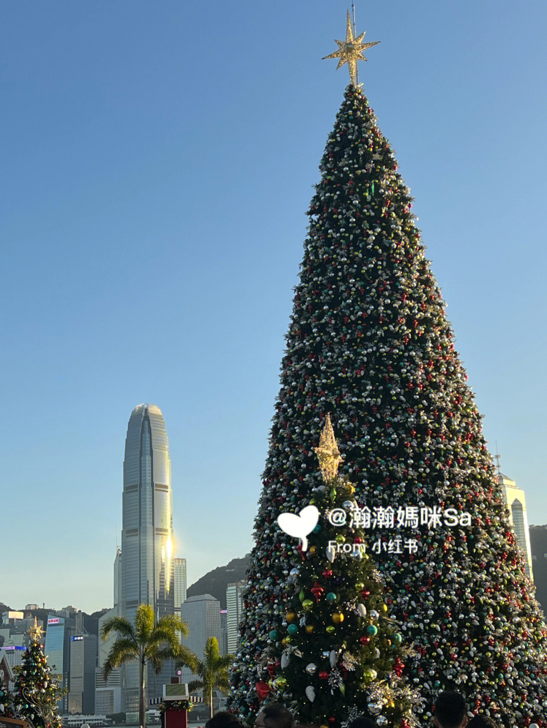 香港最美圣诞树