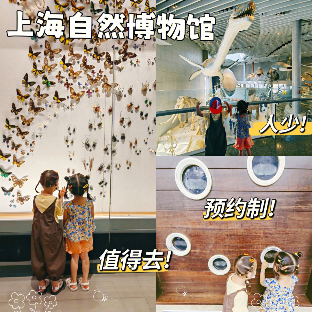预约制后的上海自然博物馆真香