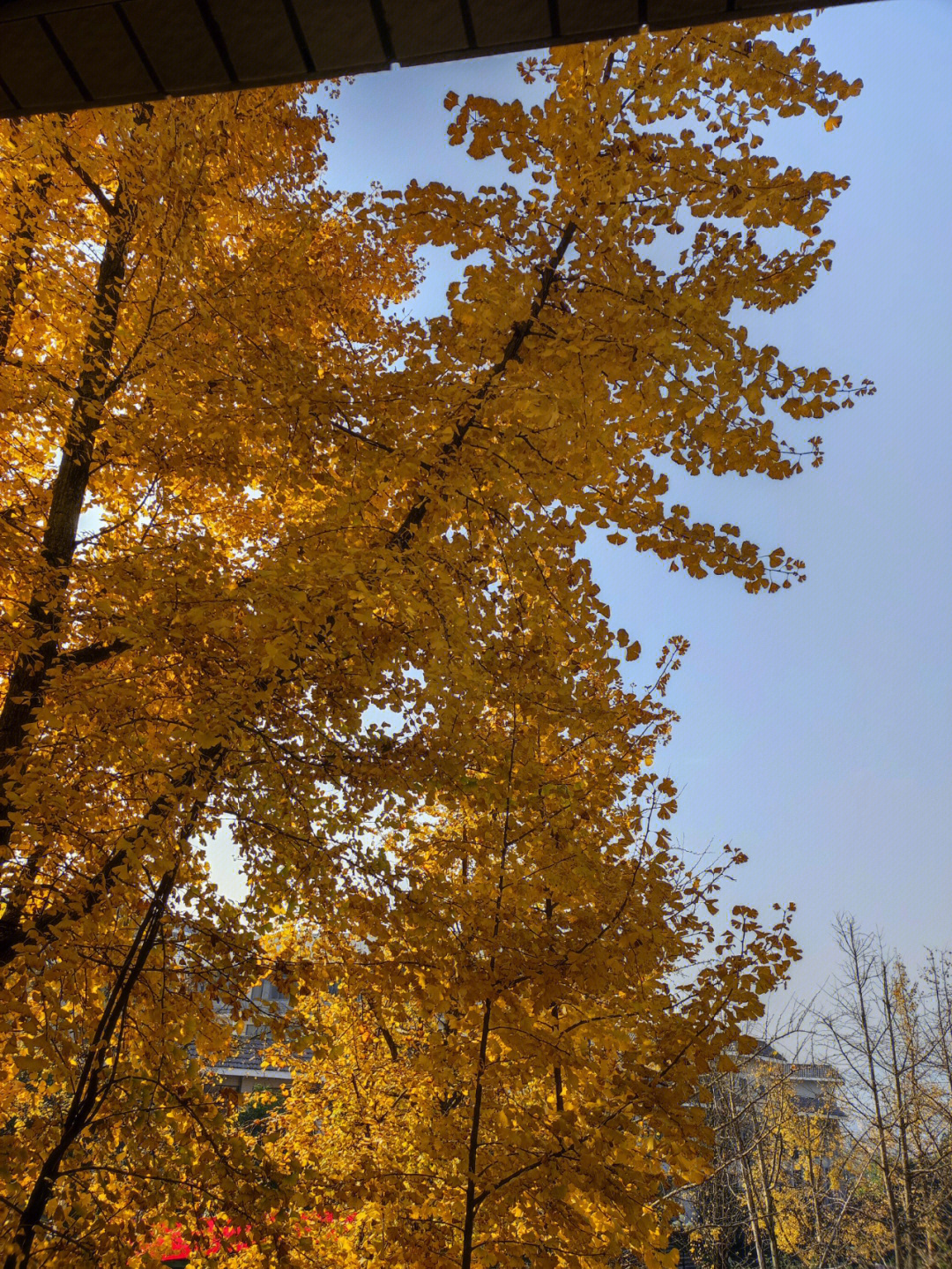 重庆第二师范学院南山图片