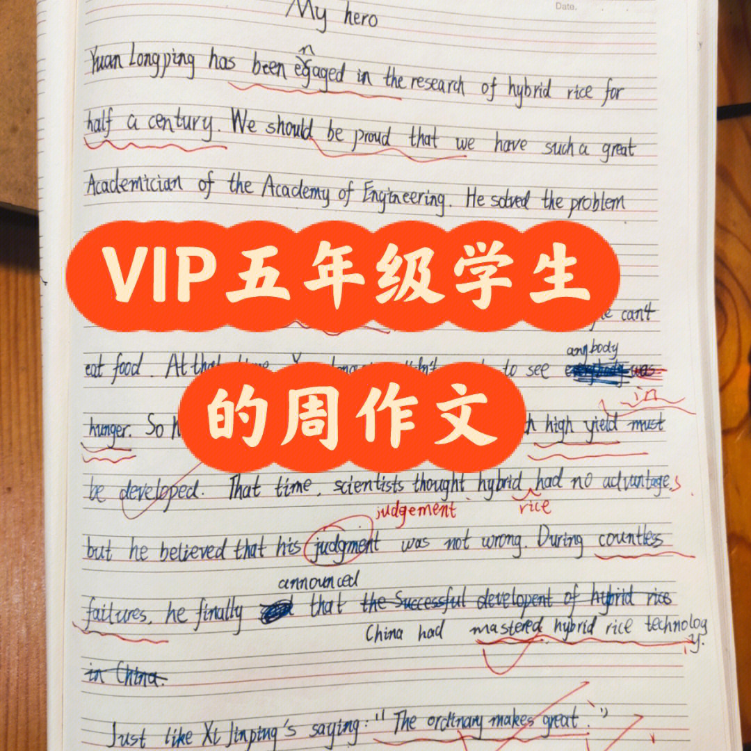 vip五年级学生英语周作文