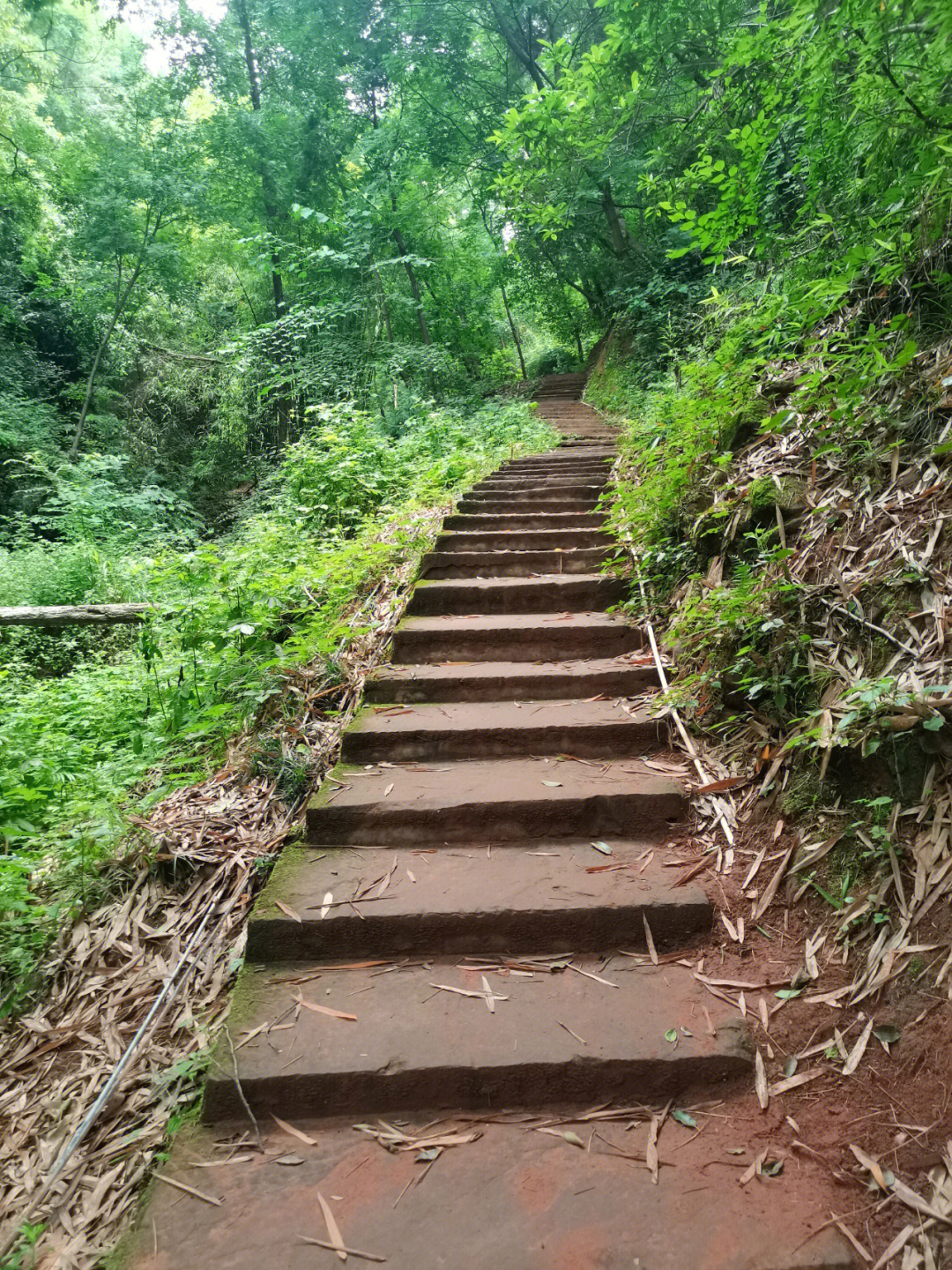 成都龙泉紫霞山爬山感受