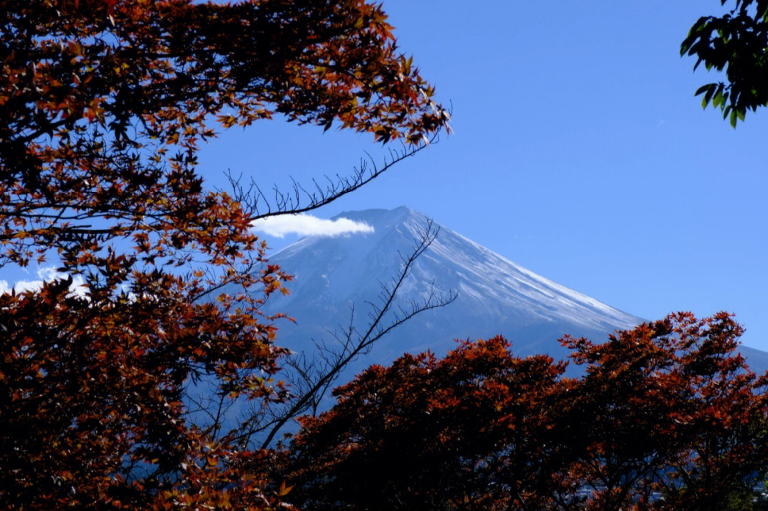 富士山下